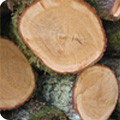 Se chauffer au bois