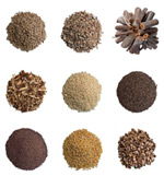 Les différents types de combustibles